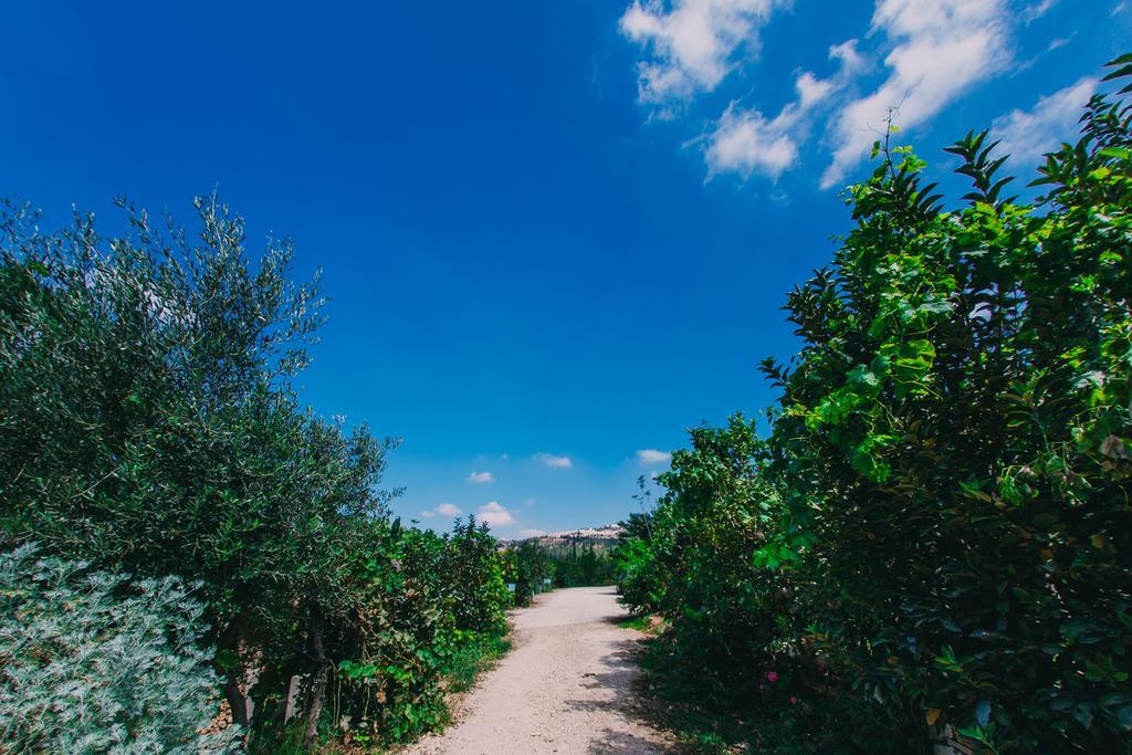 Tur Sinai Organic Farm Resort Jerusalem Exterior photo