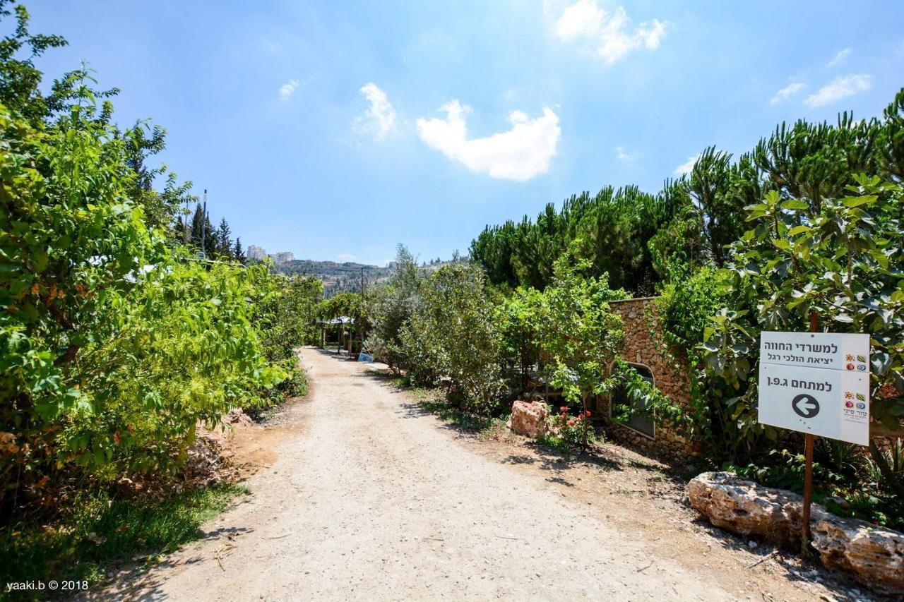 Tur Sinai Organic Farm Resort Jerusalem Exterior photo