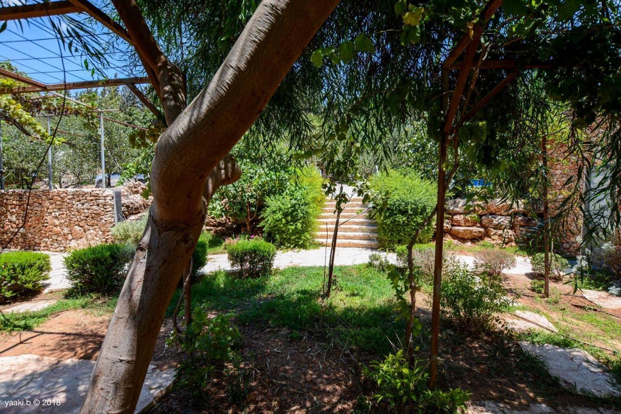 Tur Sinai Organic Farm Resort Jerusalem Exterior photo